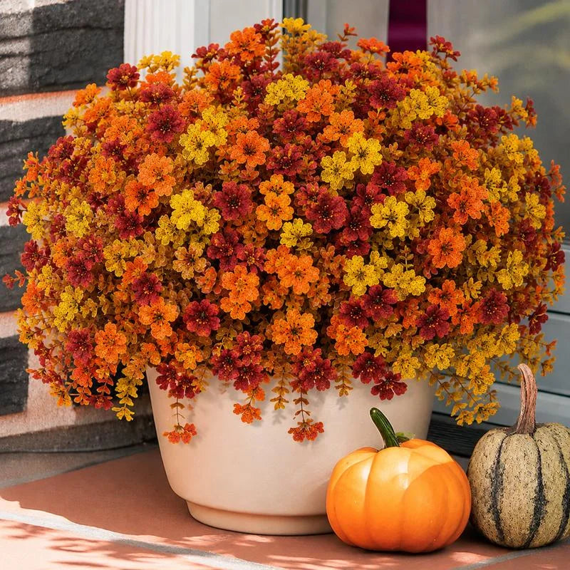 Warm orange, golden and burgundy flowers in a cream pot; styled reference, quantity unverified; pot and pumpkins excluded from proposed offer